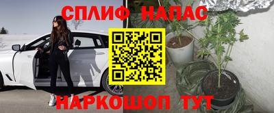 apvp Ирбит